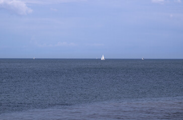 White and blue - outdoor scene on the lake Ontario with blue sky, blue water, and a white small sailboats scattered in the lake to the horizon