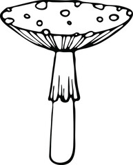 isolated hand drawn graphic outline element: fly agaric mushroom