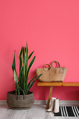 Wooden bench with wicker bags, female shoes and houseplant near pink wall