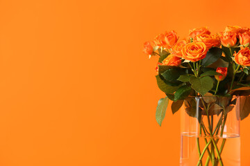 Vase with beautiful orange roses on color background
