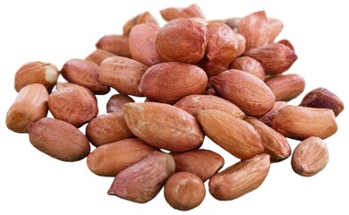 Falling peanut seed on white background