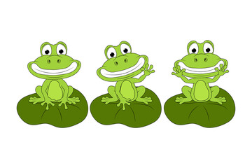 cute frog animal cartoon illustration