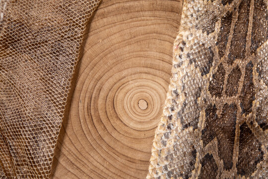 texture