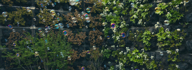 water drops on the grass