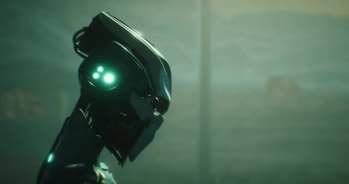 Animation of a human Robot looking at a car passing by