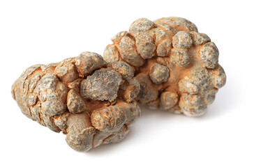 Dried herb, notoginseng roots isolated on white background