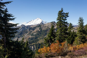 Beautiful view at Mount Baker from Artist Point, North Cascades National Park in Washington in sunny day