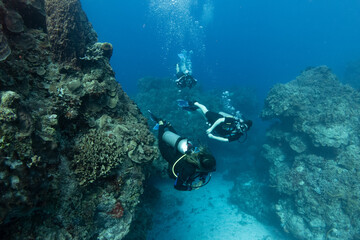 divers scuba diving around the coral reef