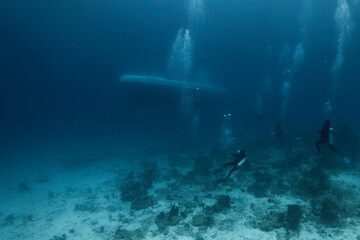 Fototapeta na wymiar divers enjoying scuba diving swimming around a submarine