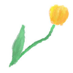 水彩風に描いた黄色のチューリップ