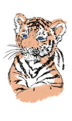 하얀 배경에 아름다운 수채색 호랑이입니다.
