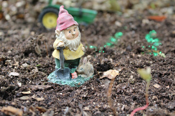 little child planting flowers