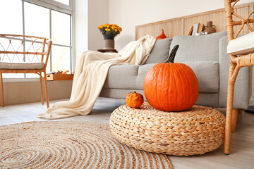 Comfortable sofa and fresh pumpkins in room