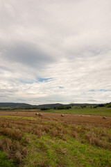 Fototapeta premium Australian rural landscape showing hay field after harvest surrounded by mountains