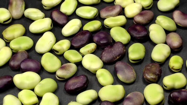 Fresh green and red broad beans rotation close up. Loop motion