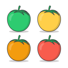 Set Of Fresh Tomatoes Vector Icon Illustration. Different Colored Tomatoes