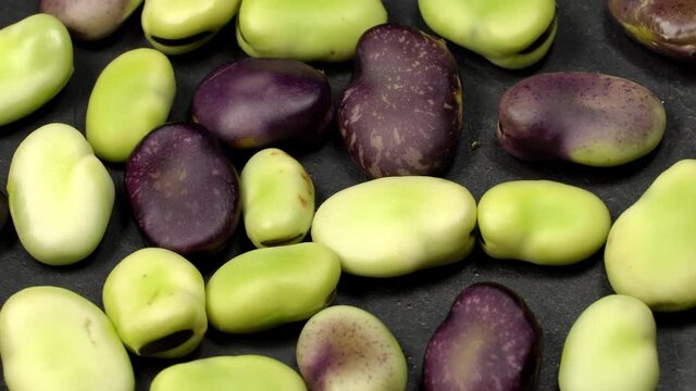 Fresh green and red broad beans rotation close up. Loop motion
