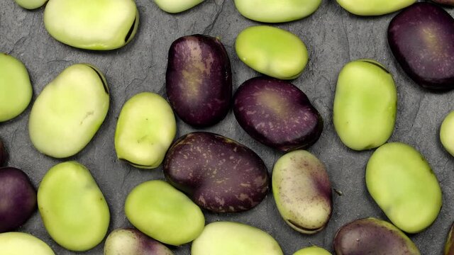 Fresh green and red broad beans rotation close up. Loop motion