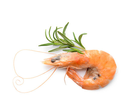Tasty boiled shrimp with rosemary on white background
