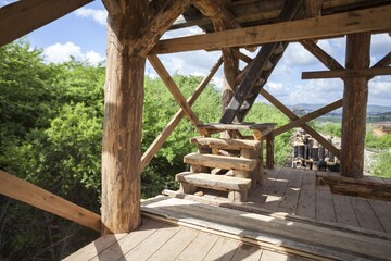 Flowerpots situated on wooden stairs in luxury home