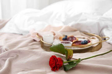 Beautiful red rose for Valentine's Day on bed