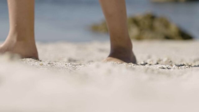 Close up. A young child on vacation happily walks on a beautiful white tropical beach and stops to pick up a colorful sea urchin shell.