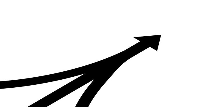 Pathway Arrows Animated On Isolated on Various Backgrounds