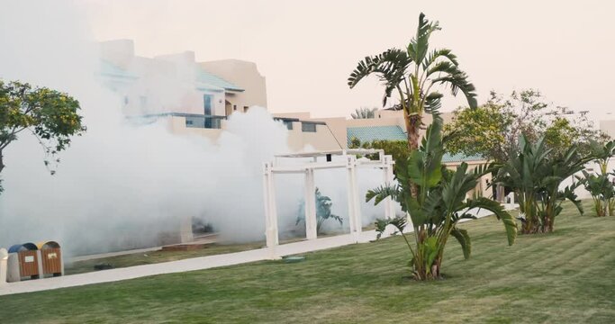 Man sprays insect poison smoke at resort. Fogging machine with mosquito insecticides. Smoke killing dangerous mosquitoes carry fever dengue. Preventive measures to stop infection spreading in Egypt