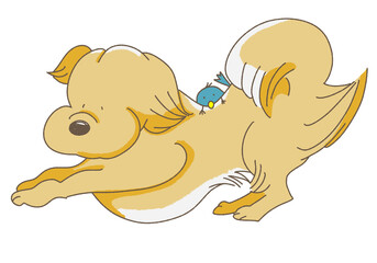 ストレッチをする犬の上に乗る小鳥