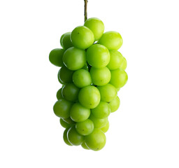 Fresh harvested, plump green grape or muscat grape, hanging. Isolated on pure white background.