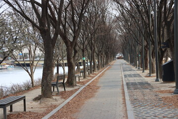 가로수길