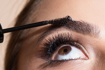 Woman eye with beautiful eyebrows. Perfect shaped brow, eyelashes with brow gel brush. Female model...