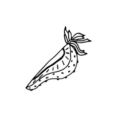 Vector isolated element. Strawberry. Berry. Black hand drawn doodle on a white background. The print is used for packaging design.