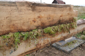 construction of a bathhouse made of two-channel timber with ecological insulation made of sphygnum moss