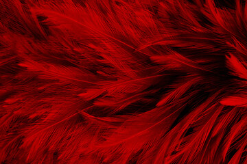 Beautiful Dark Red Feathers Texture Vintage Background