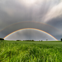 Ein doppelter Regenbogen vor einem Gewitter an einem Feld