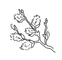 The black line of the Easter logo. Hand-drawn Easter Willow branch icon.