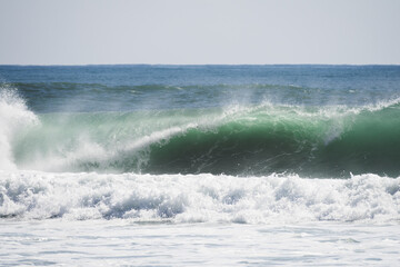 サーフィン日和の綺麗な綺麗な波