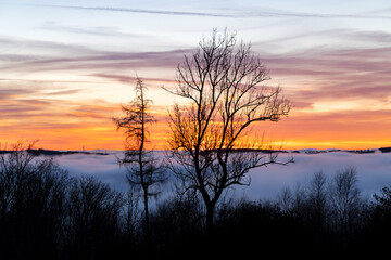 Fototapeta premium Sauerland sunset panorama on a foggy winters evening. Colorful sky and clouds, wafts of mist in Lenne valley near Altena Germany. Mystic atmosphere in rural landscape with silhouettes of bare trees.