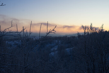 frosty nature landscape with trees, sky and sun