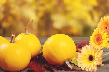 Happy Thanksgiving. Stylish pumpkins rustic old wooden background in light.