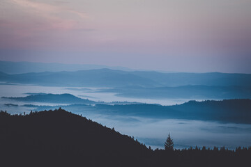 Poranne mgły nad Zalewem Czorsztyńskim © Piotr Szpakowski