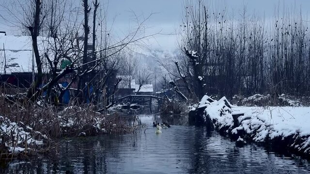 Season's First snowfall in Srinagar, Indian Administered Kashmir
