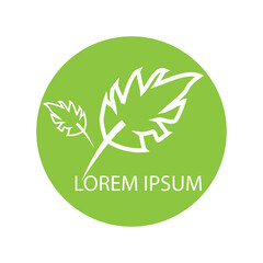 leaf logo icon vector design template