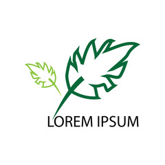 leaf logo icon vector design template