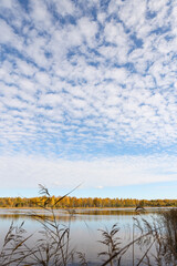 Beautiful blue sky with many small clouds.