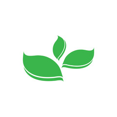 leaf logo icon vector design template