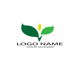 leaf logo icon vector design template