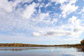 Obraz premium Beautiful autumn view with trees, lake and overcast cloudy sky.
