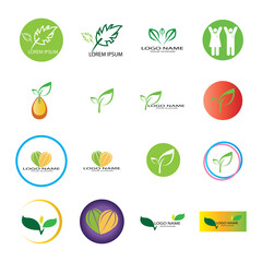 leaf logo icon vector design template
